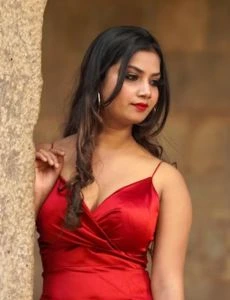 call girl service in Vijainagar